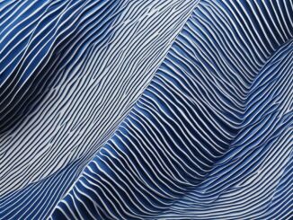 blaugestreift
